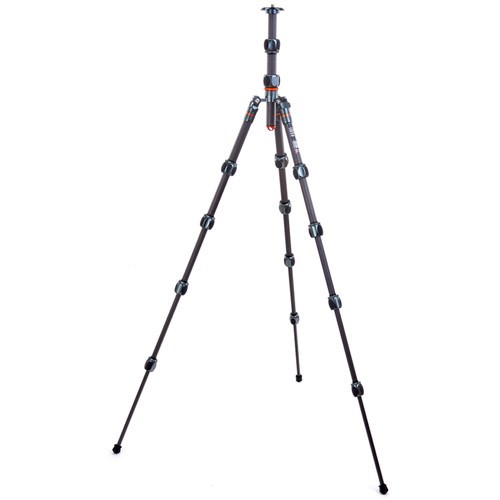 3leo2legs-4