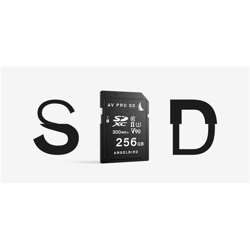 AVP256SD