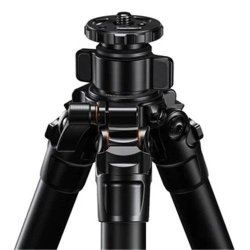 LEOLG284C36R-3