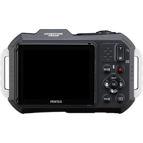 WG1000B-2