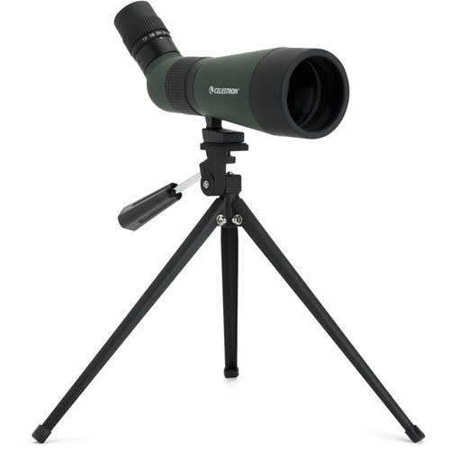 cel-12x36-1