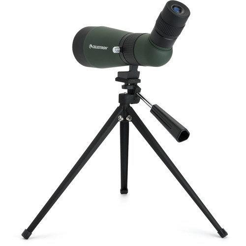 cel-12x36-3