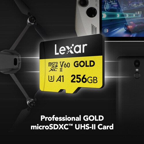 lex256mic1-2