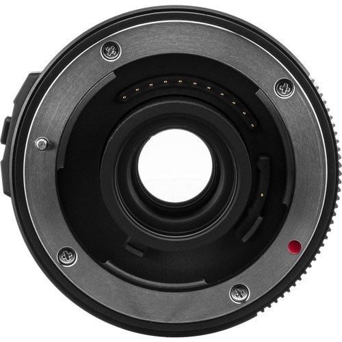 panasonic_dmw_tc20_2x_teleconverter3