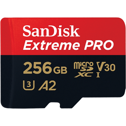 sandisk-256gb-micro