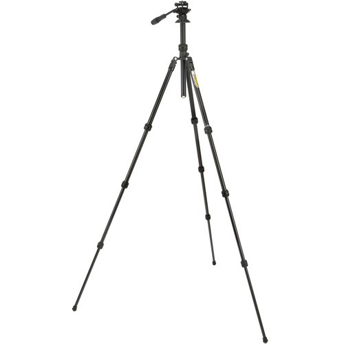 traviddar-2