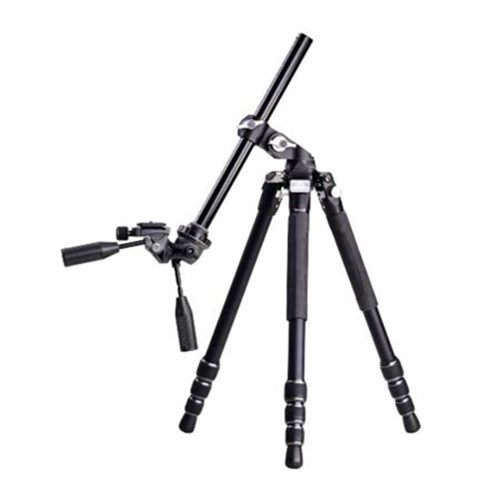 veo-3t-3