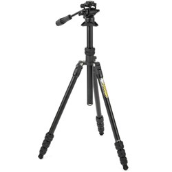 traviddar-1